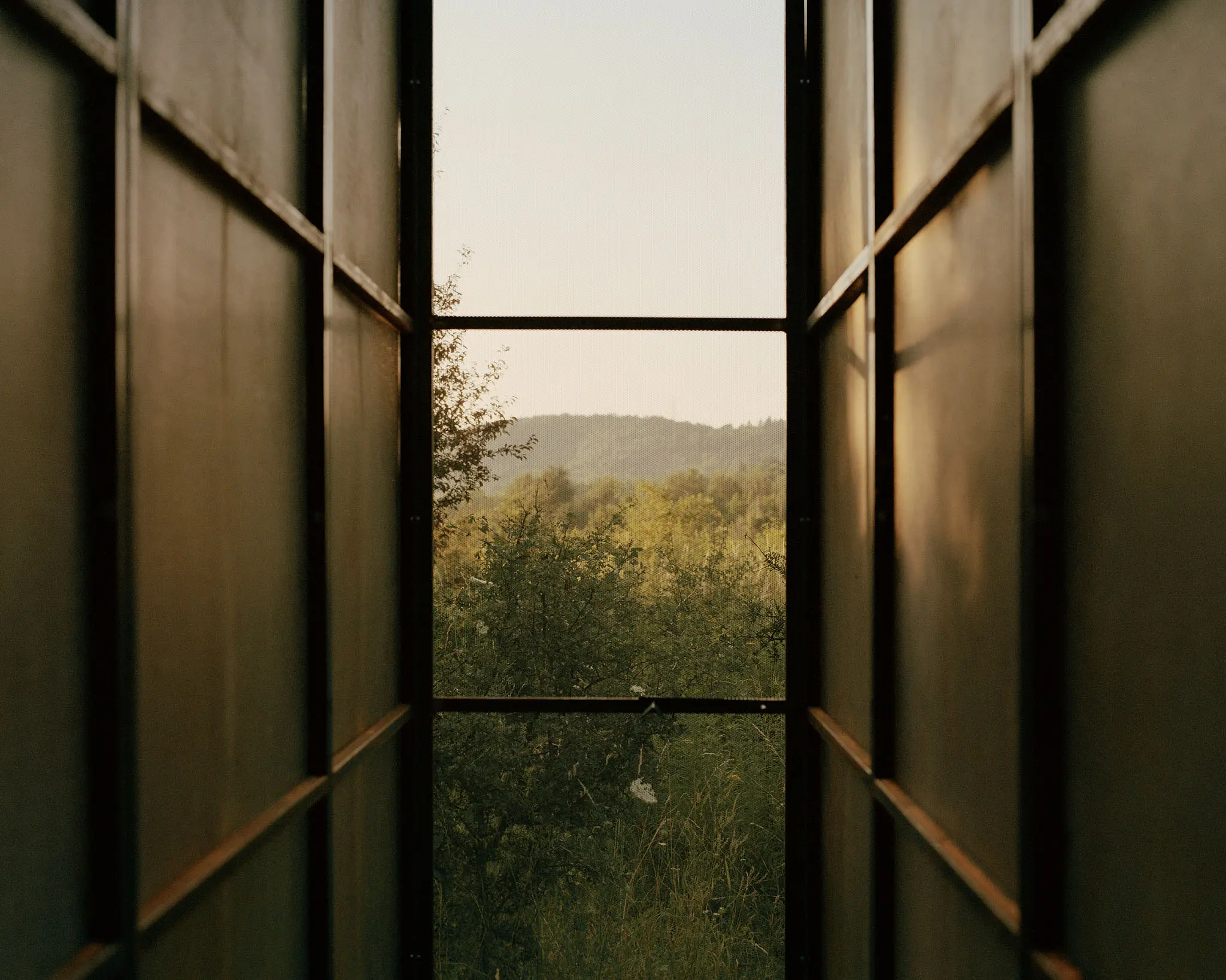BALAZS DANYI