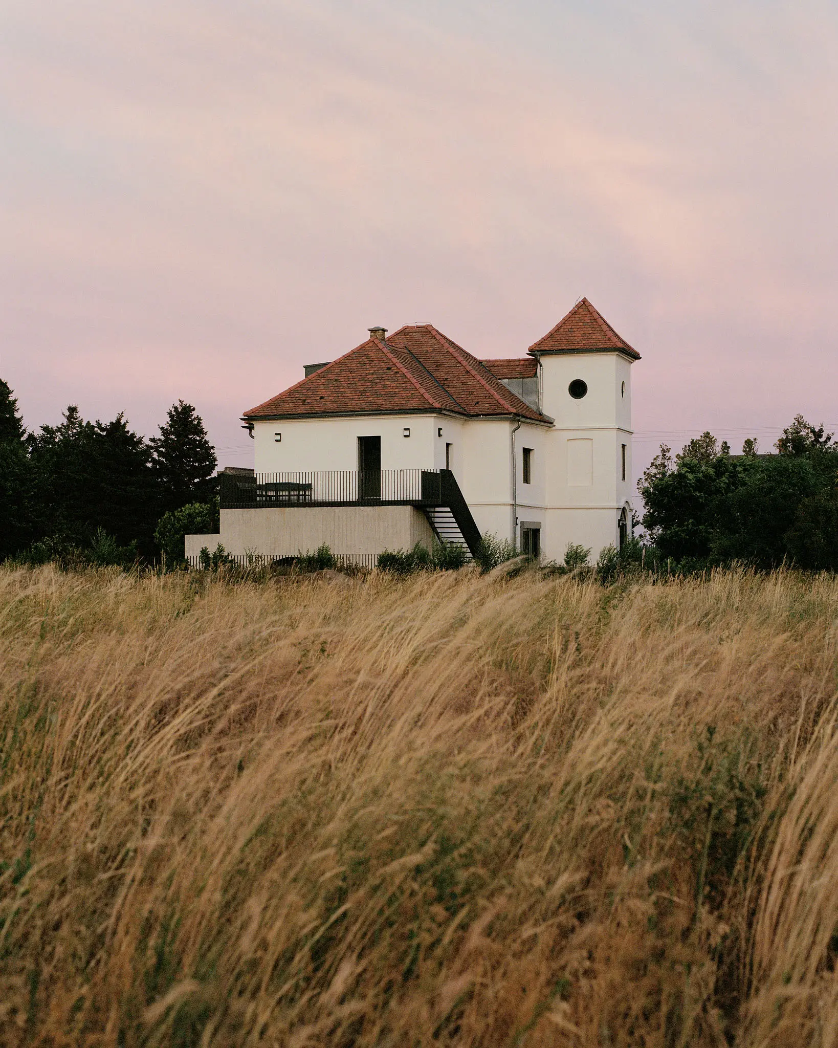 BALAZS DANYI