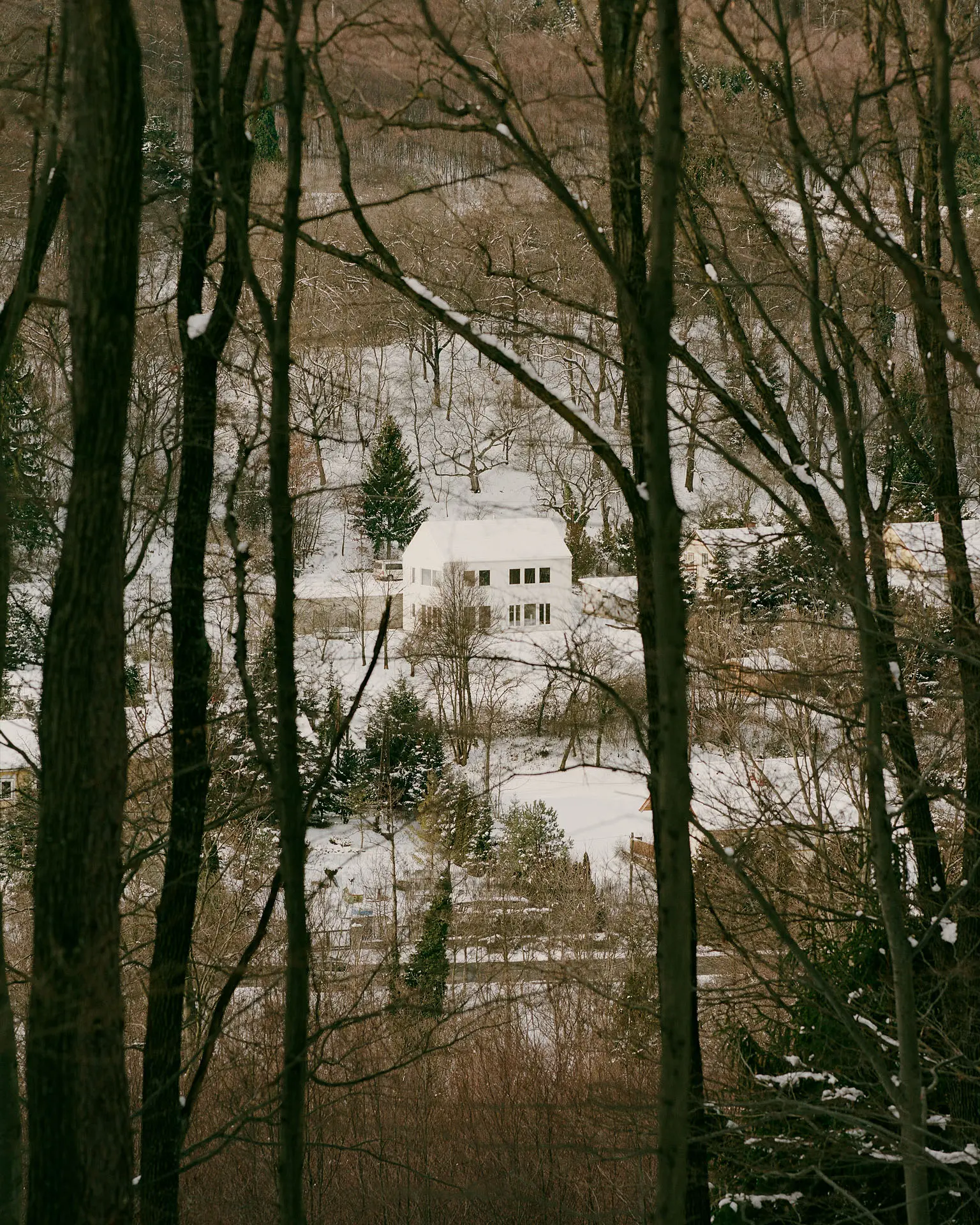 BALAZS DANYI