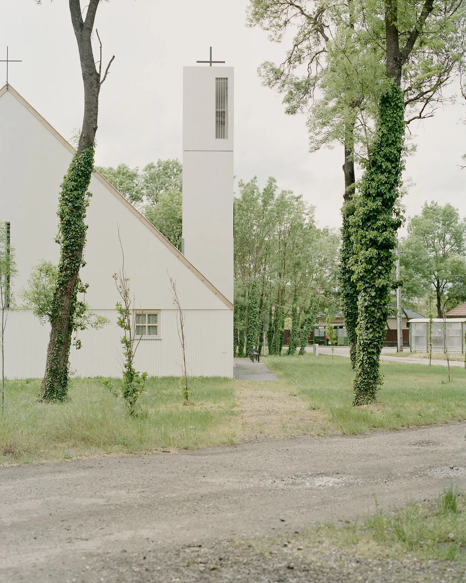 BALAZS DANYI
