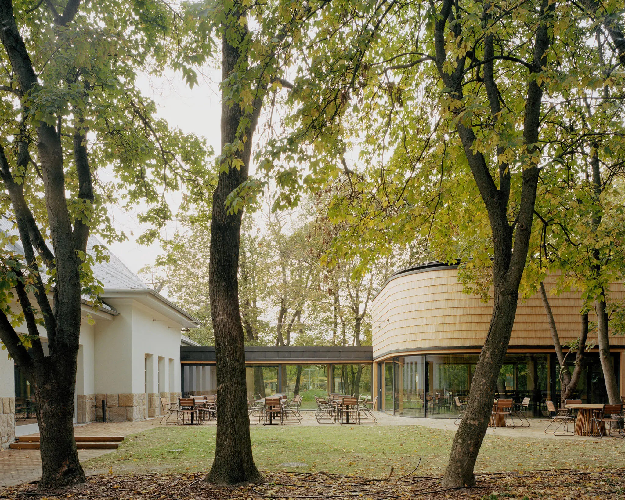 BALAZS DANYI