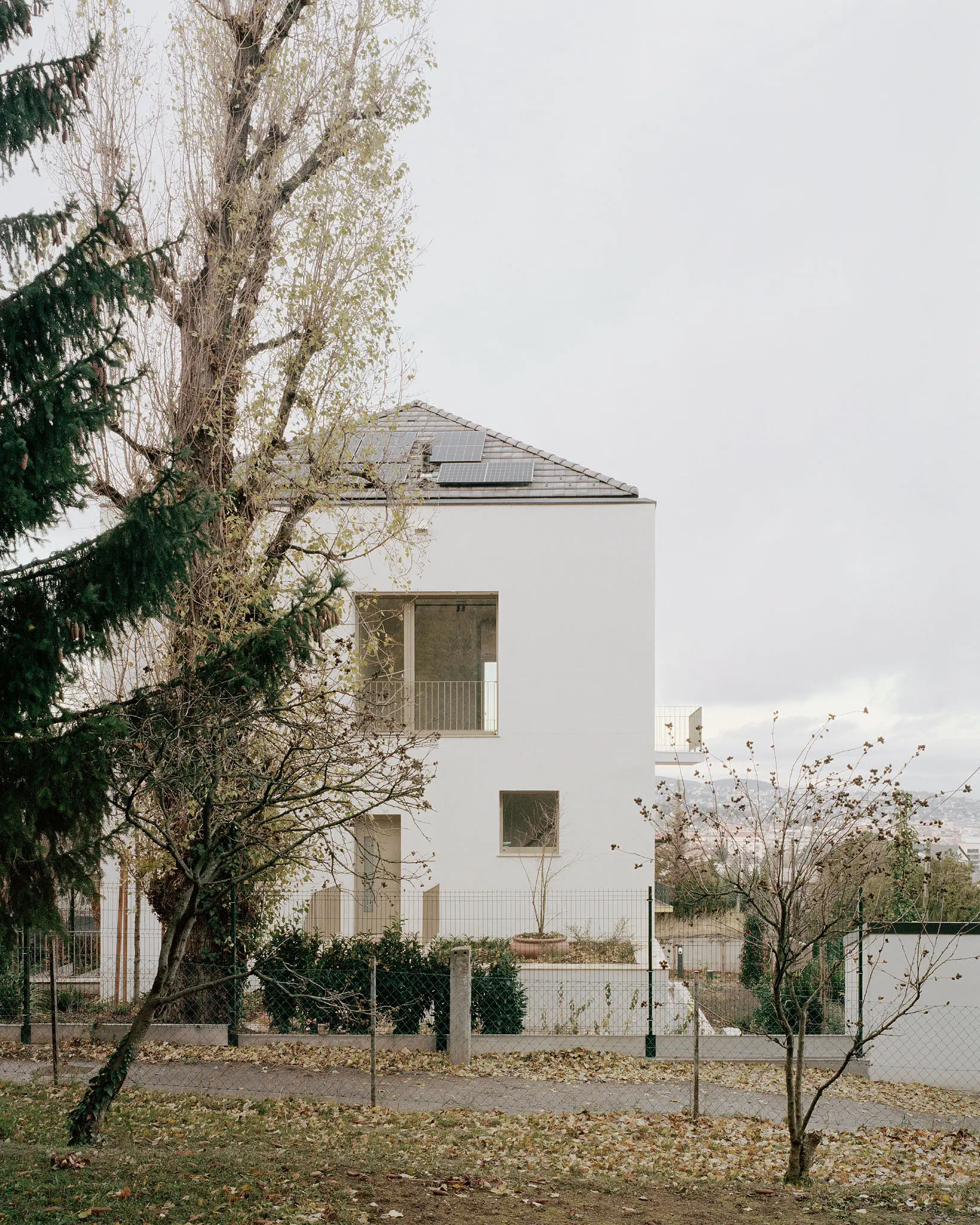 BALAZS DANYI