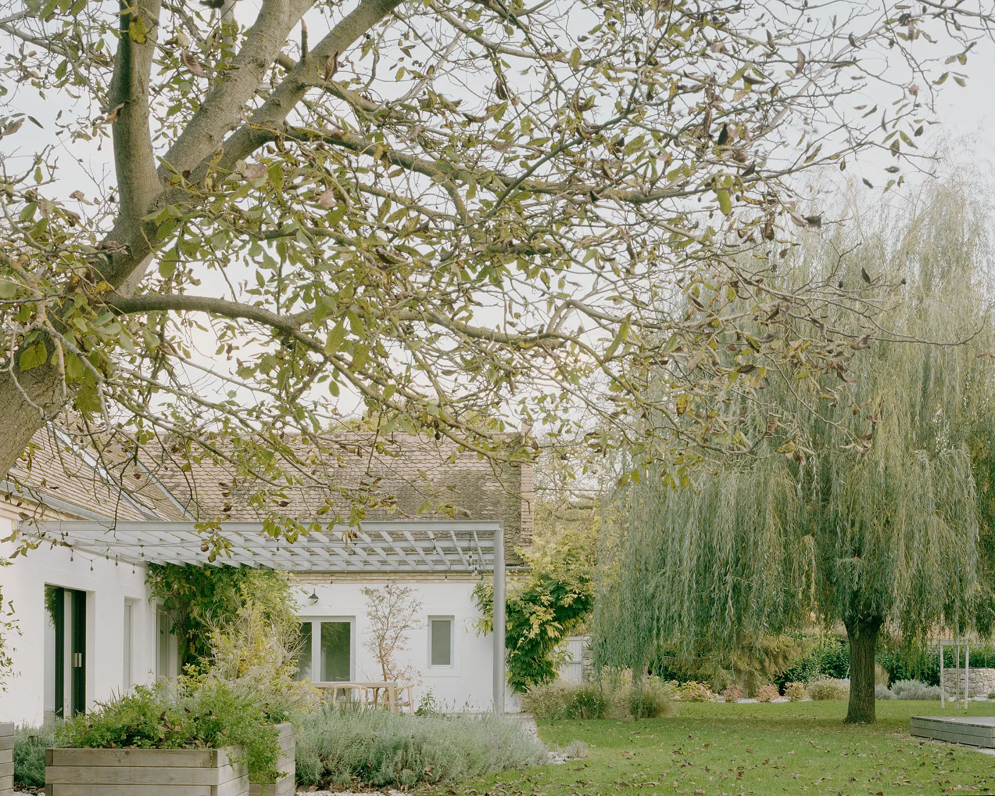 BALAZS DANYI