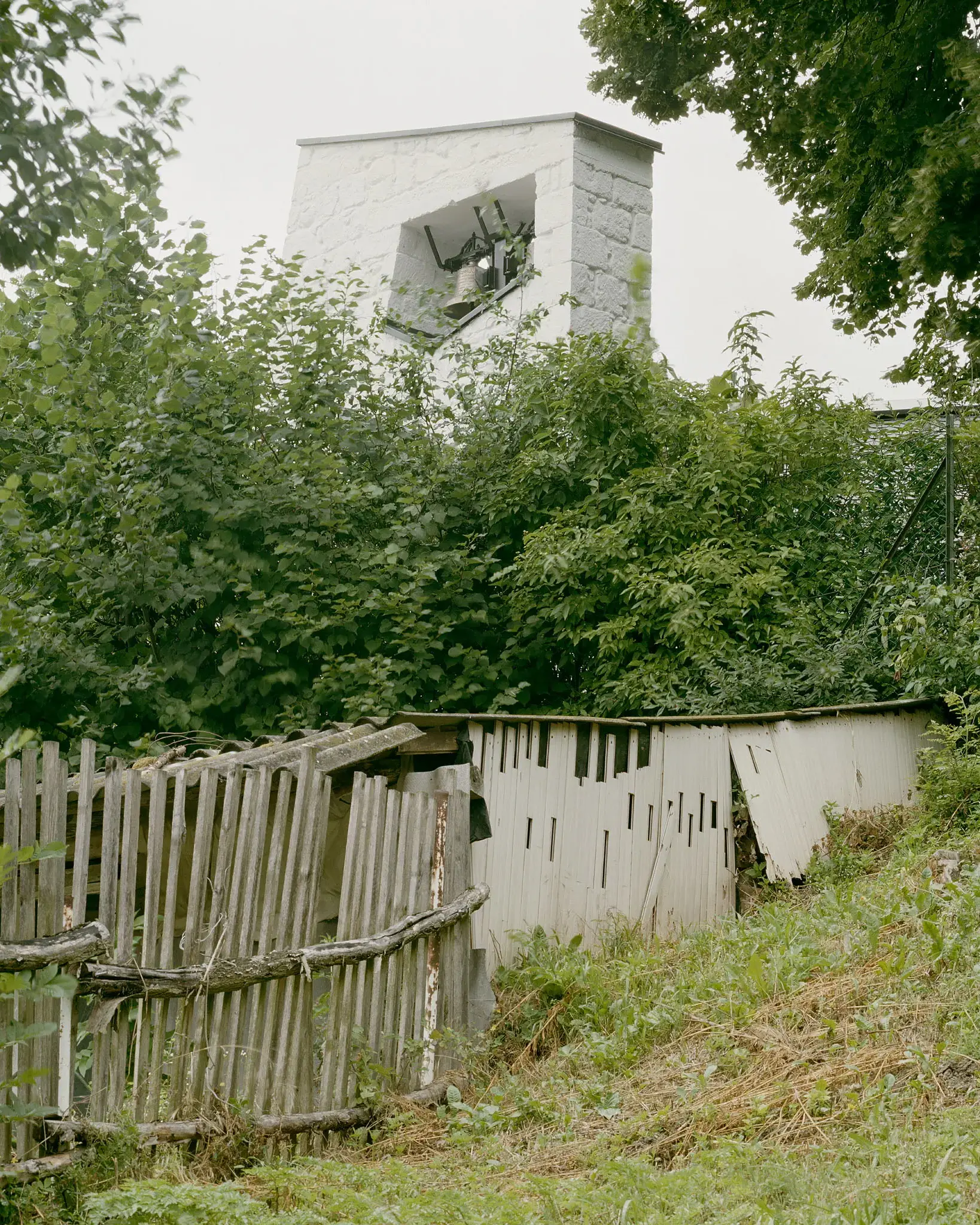 BALAZS DANYI