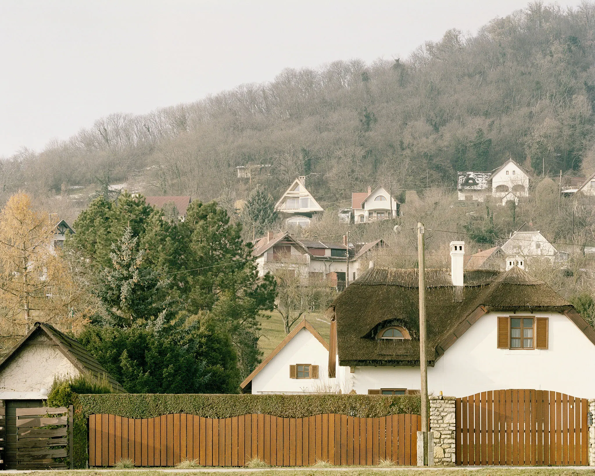 BALAZS DANYI