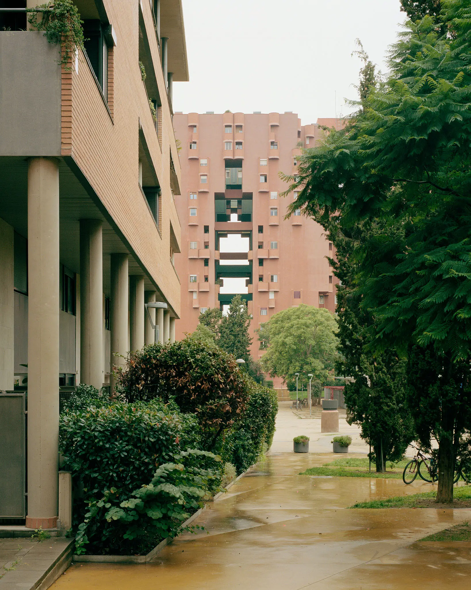 BALAZS DANYI