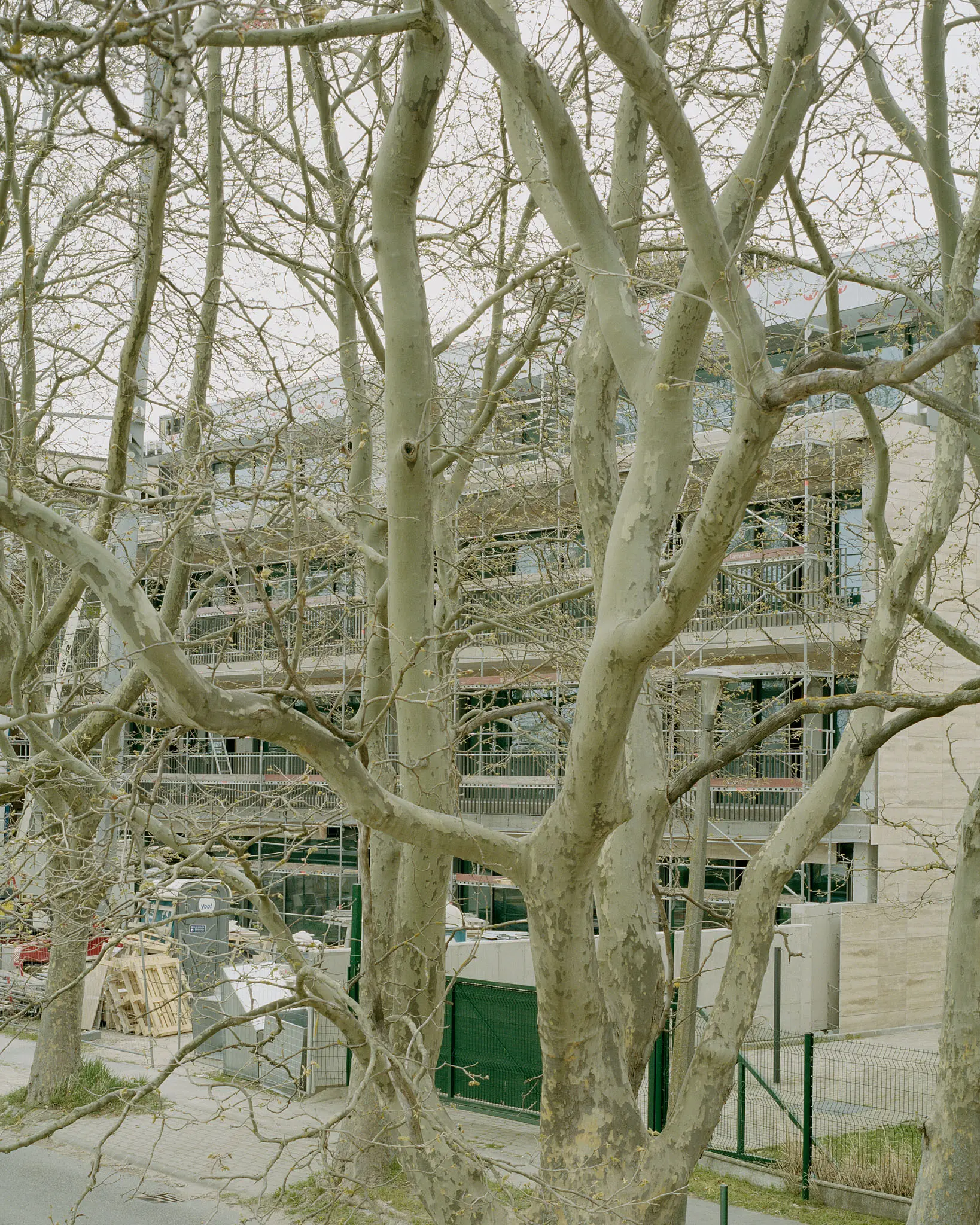 BALAZS DANYI